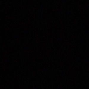 Meet your Posher, Travis